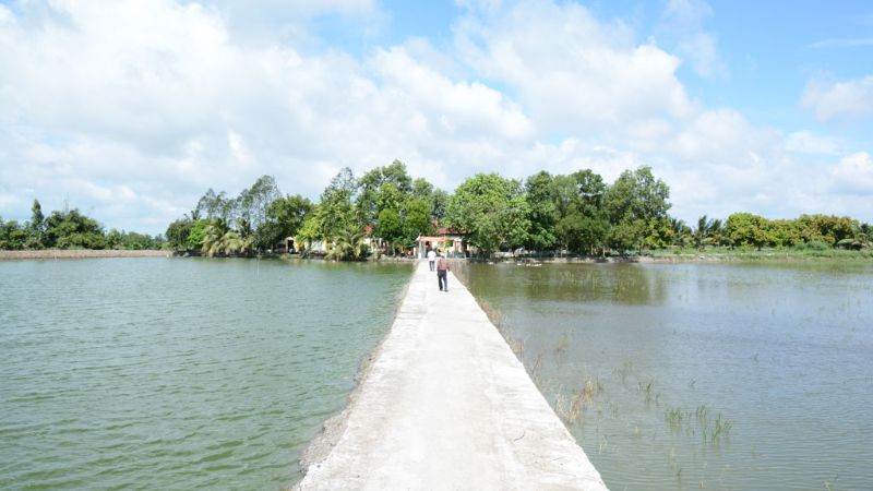 Cánh đồng Đá Nổi