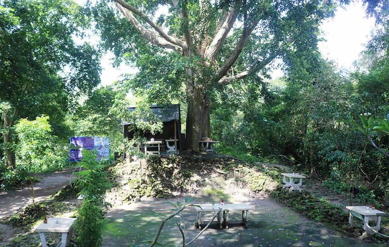 Một góc Gò Cây Tung
